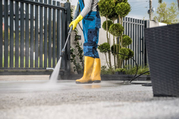 Best Gutter Cleaning  in Jan Phyl Village, FL